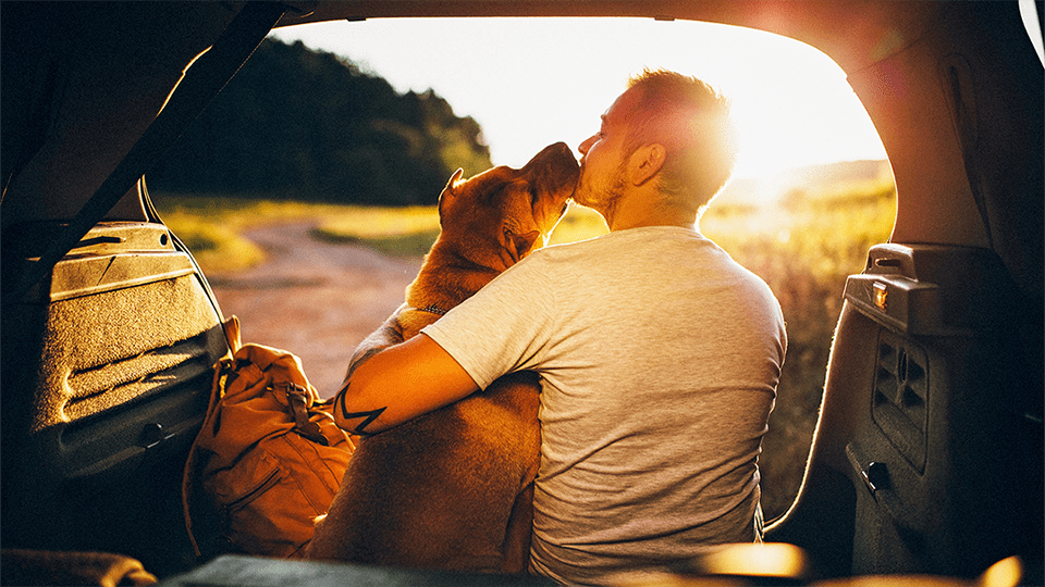 Man in Car Travelling with Dog to Go Camping
