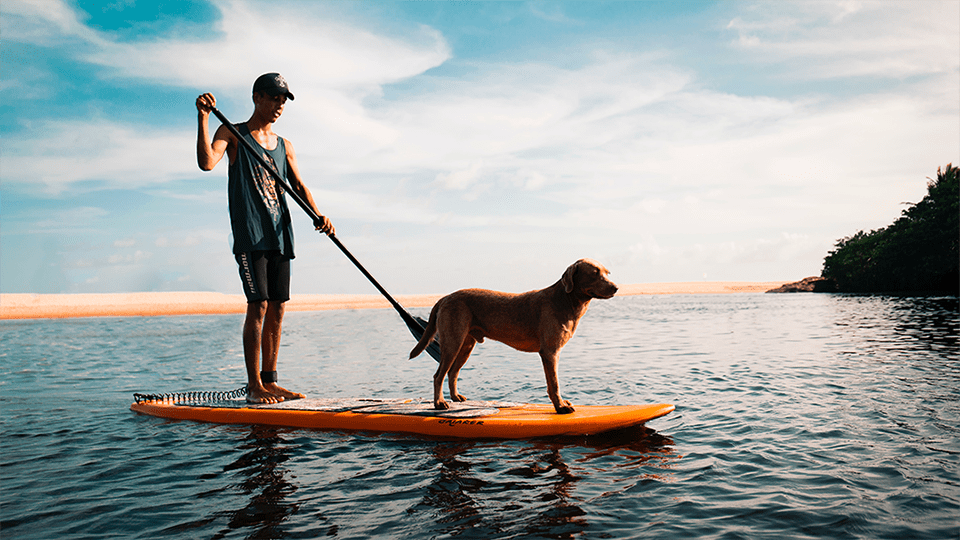 Man Stand Up Paddle Boarding with Dog