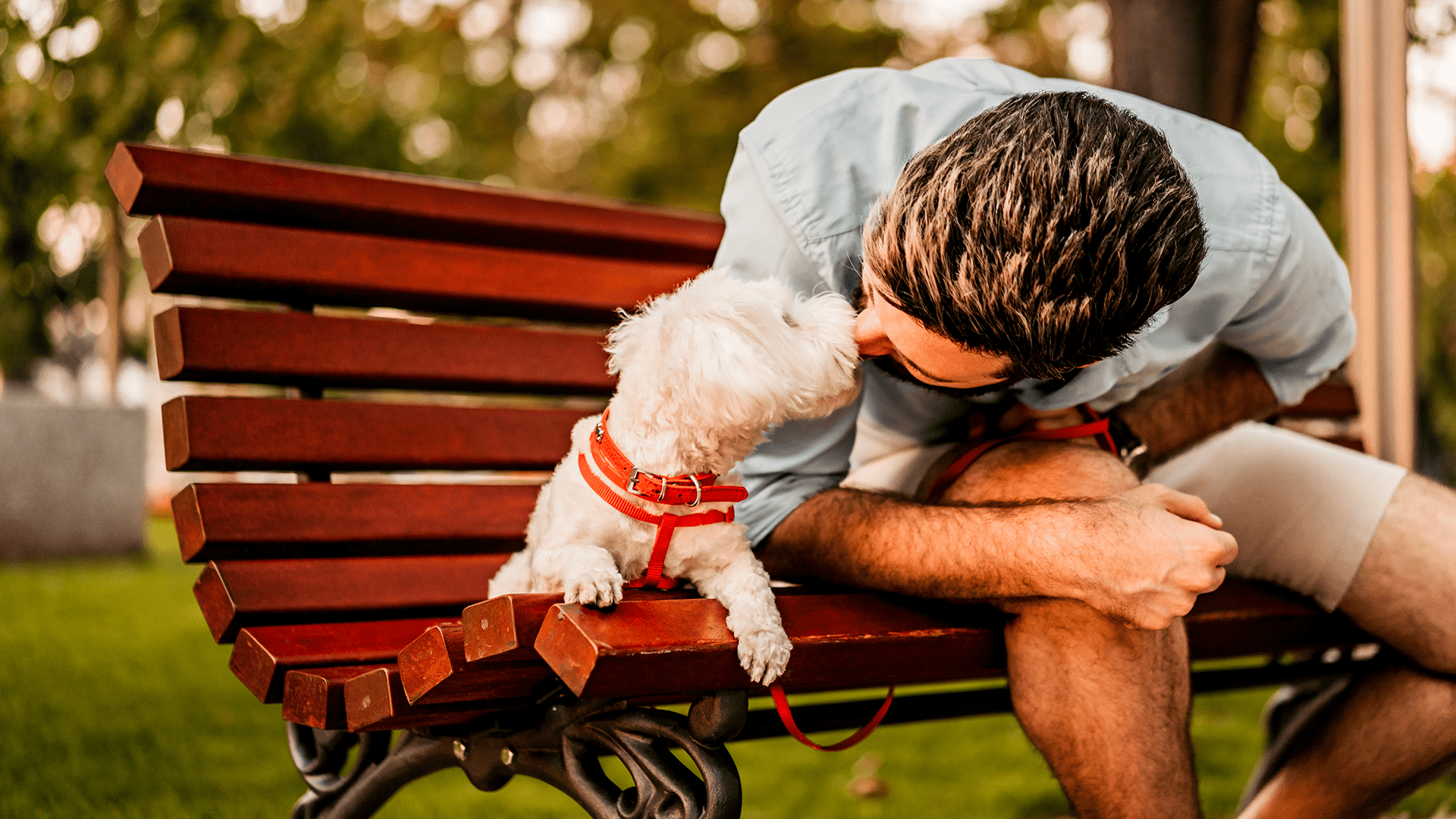 Man with small white dog on bench keeping safe in summer