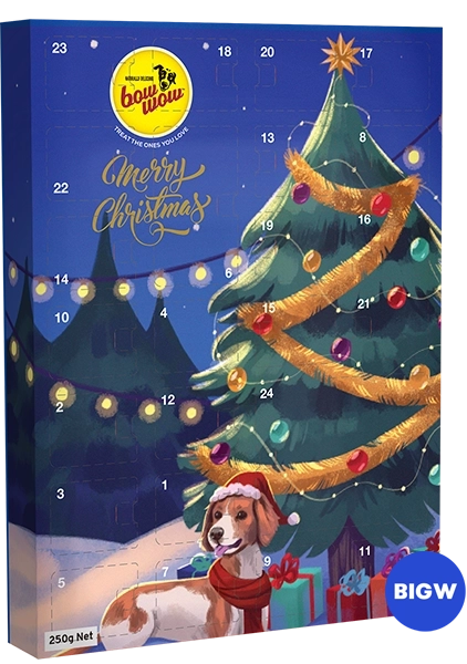 Advent Calendar