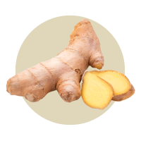 Aids digestion, reduces nausea, supports joints, and helps boost immunity in dogs.