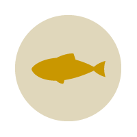 Provides protein, supports heart health, boosts coat shine, and offers omega-3 fatty acids.