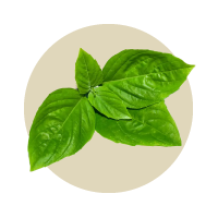 Supports digestion, boosts immunity, reduces inflammation, and promotes healthy skin in dogs.