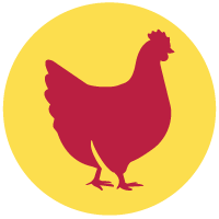 A great source of protein to provide energy, with Omega 6 fatty acids for a nourished skin and coat.