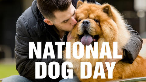 National Dog Day Image