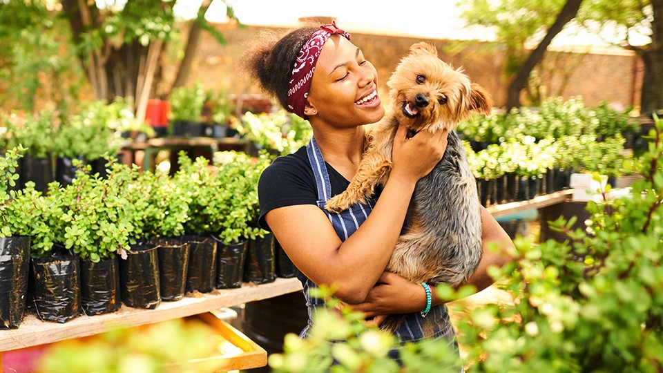 Keeping Dogs Healthy During Spring