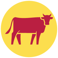 This high protein source provides many nutrients, including zinc, which is essential for enzymes, proteins and hormones.