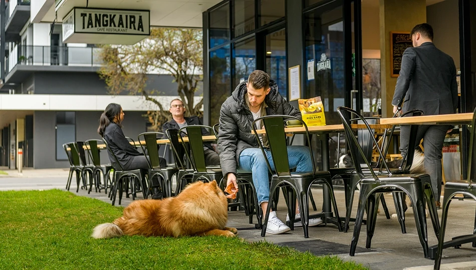 Dog Treats That Care About Sustainability “Nose To Tail Dining”