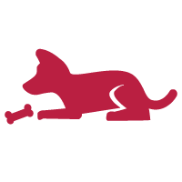 Keep Them Entertained